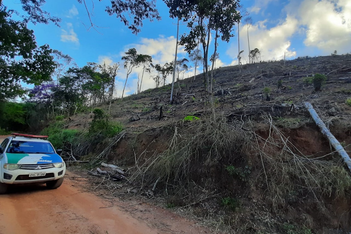  Desmatamento irregular é encontrado em Divino de São Lourenço