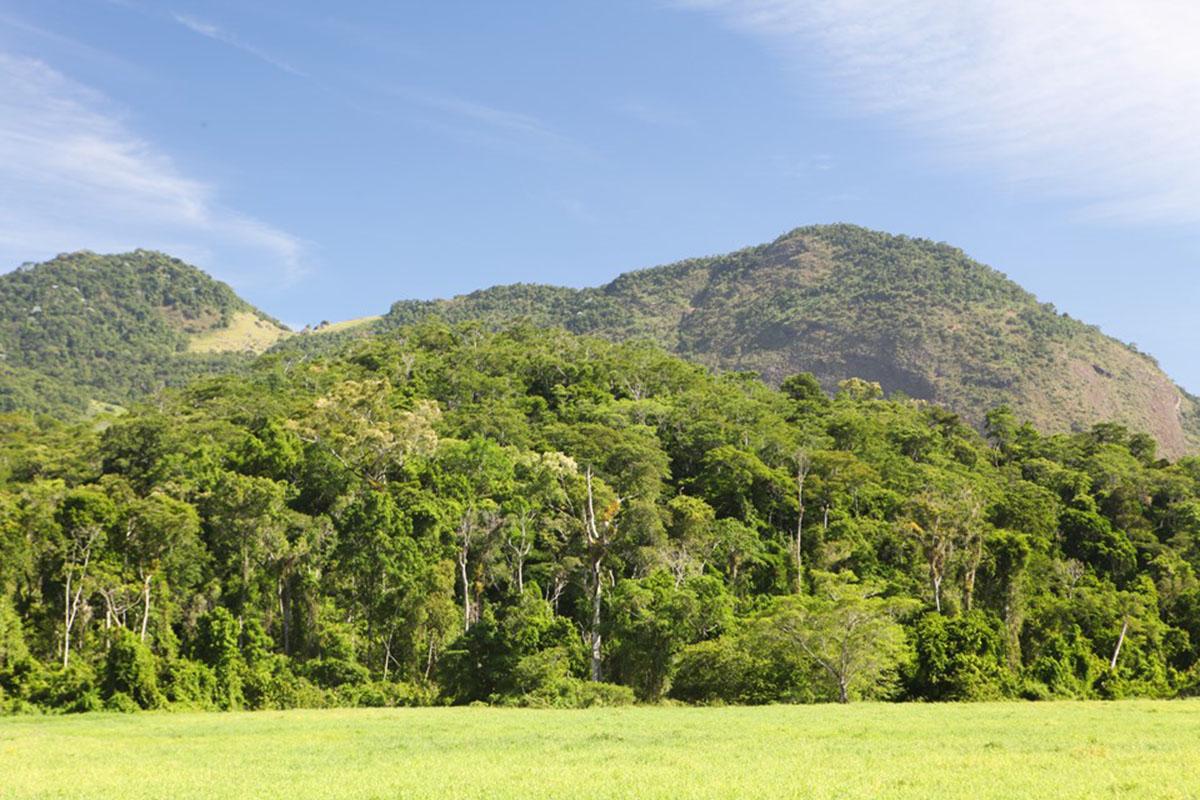  Parque em Castelo pode ser municipalizado