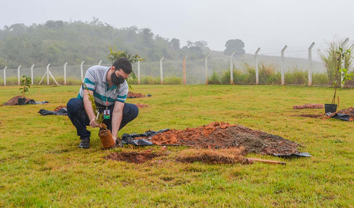  Hospital Unimed de Cachoeiro ganha jardim de árvores frutíferas