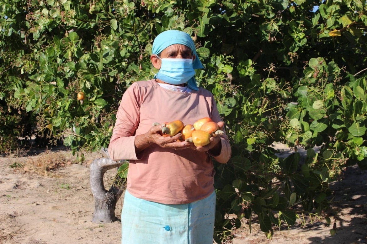  Cervejas regionais mais que dobram impacto na agricultura familiar