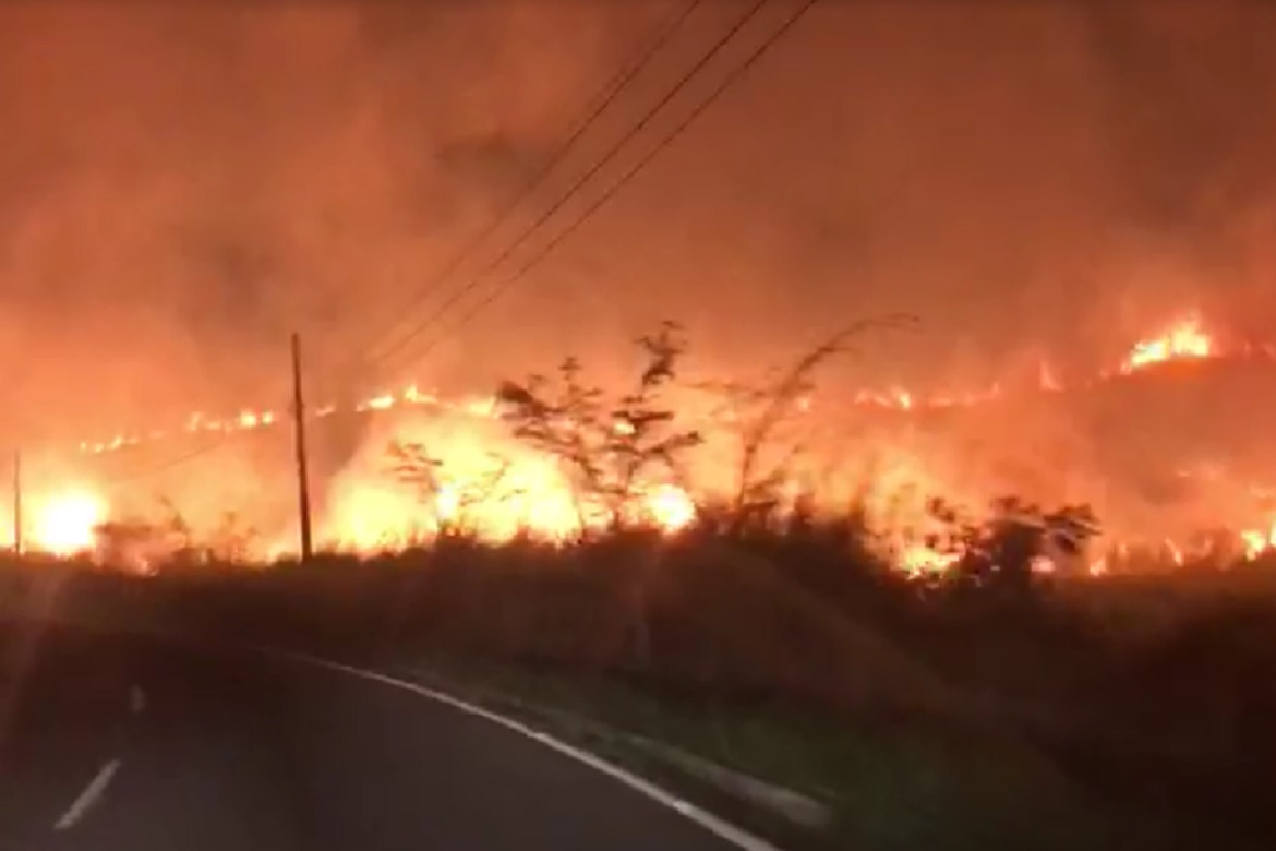  Incêndio de grandes proporções atinge vegetação em Castelo