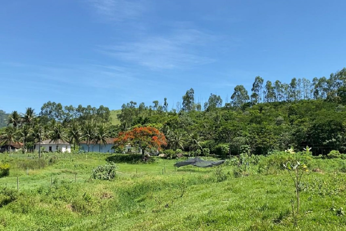  Fazenda de Hospital de Cachoeiro quer plantar mais de 2 mil mudas de árvores