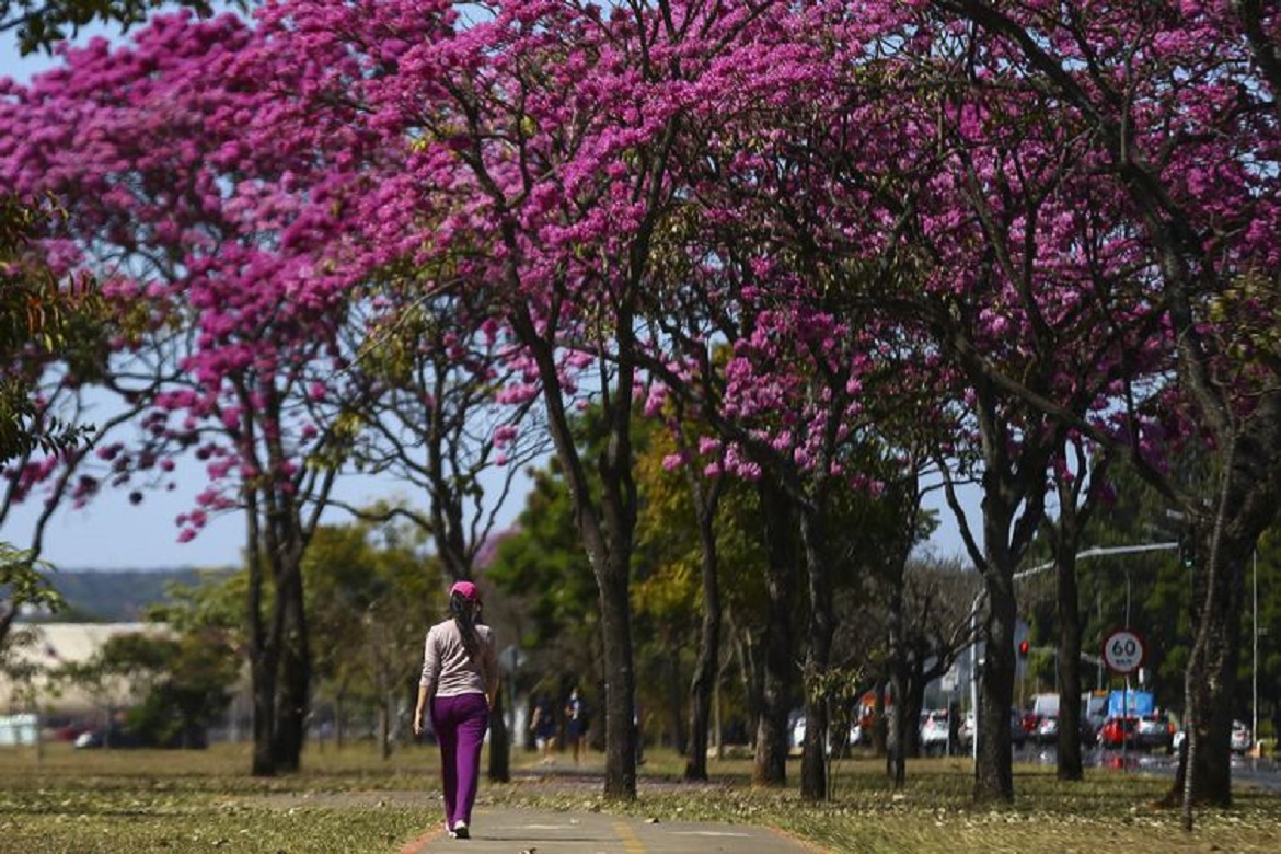  Primavera começa esta tarde sob efeito da La Niña