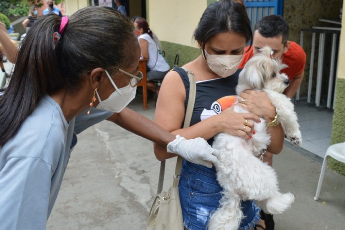  Cachoeiro terá Dia D contra a raiva animal neste sábado