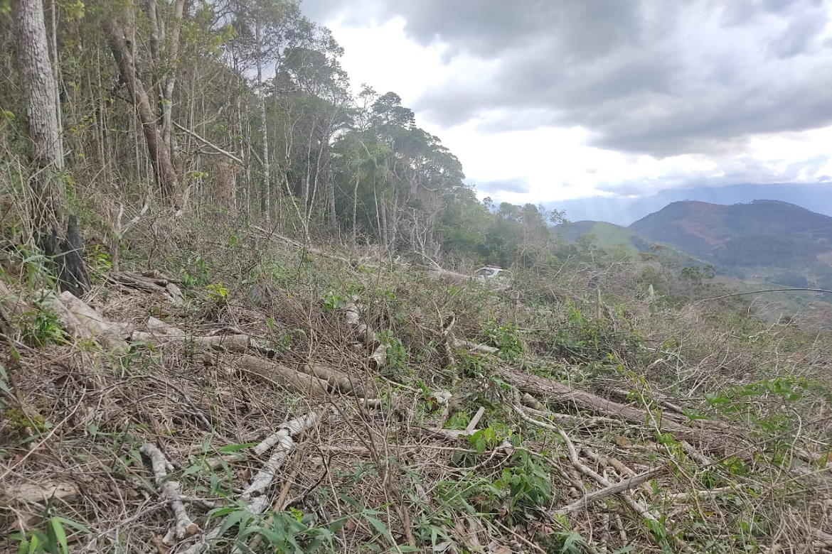  Área de mata nativa é desmatada em Muniz Freire