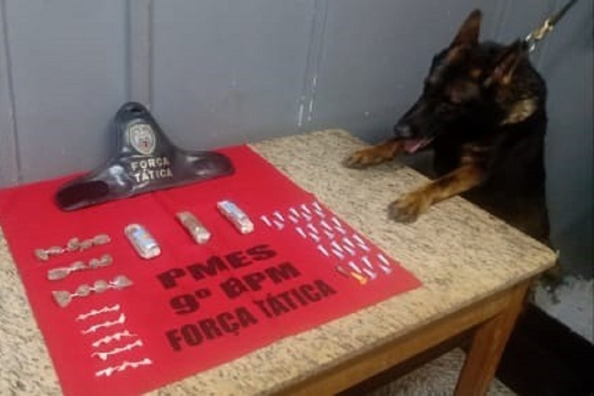  Polícia apreende drogas em Cachoeiro