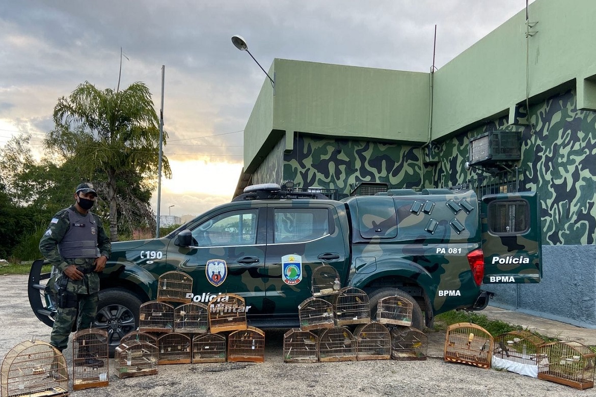  Pássaros silvestres são apreendidos em distrito de Cachoeiro de Itapemirim