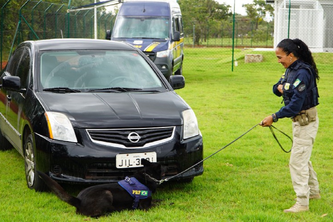  PRF inaugura primeiro centro de formação de cães policiais