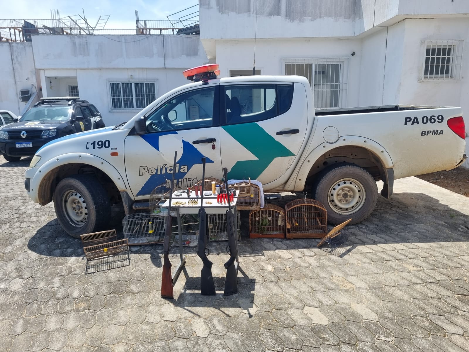  Armas e pássaros em risco de extinção são apreendidos pela Polícia Militar Ambiental em São José do Calçado