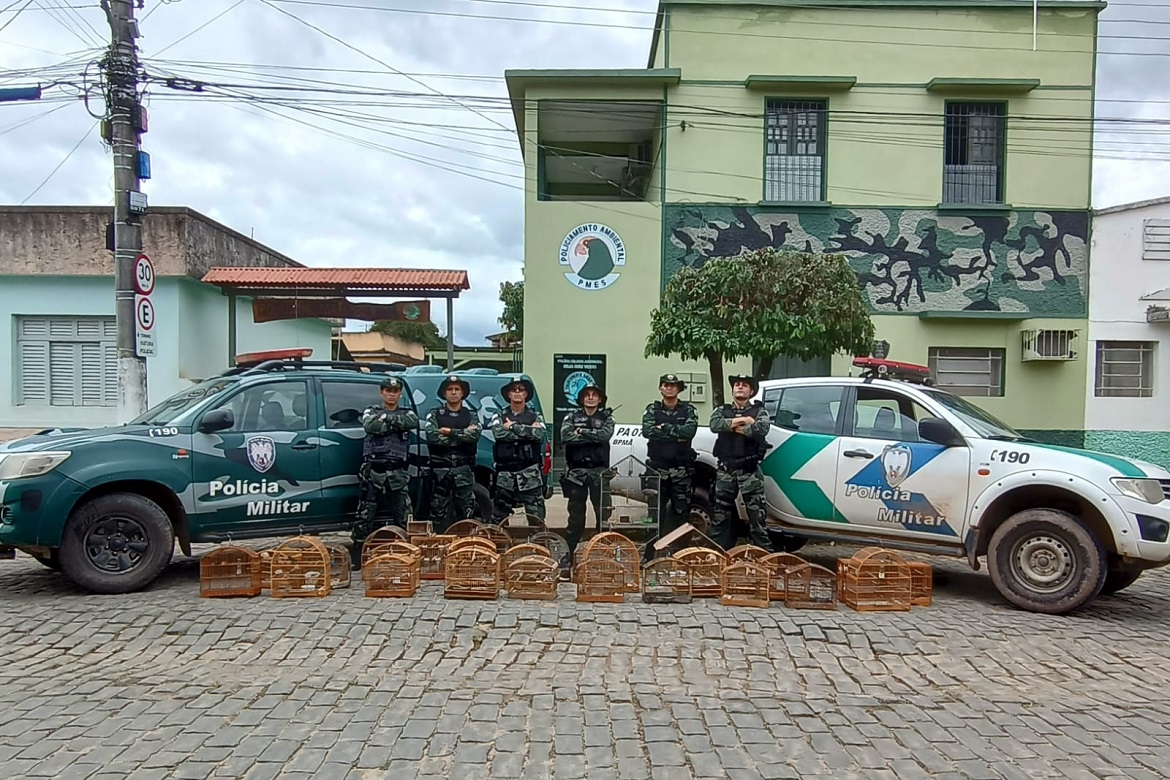  40 pássaros silvestres são apreendidos em cativeiro durante operação em Guaçuí