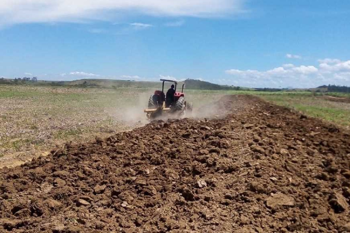  Agricultura auxilia produtores rurais no plantio da cana-de-açúcar em Itapemirim