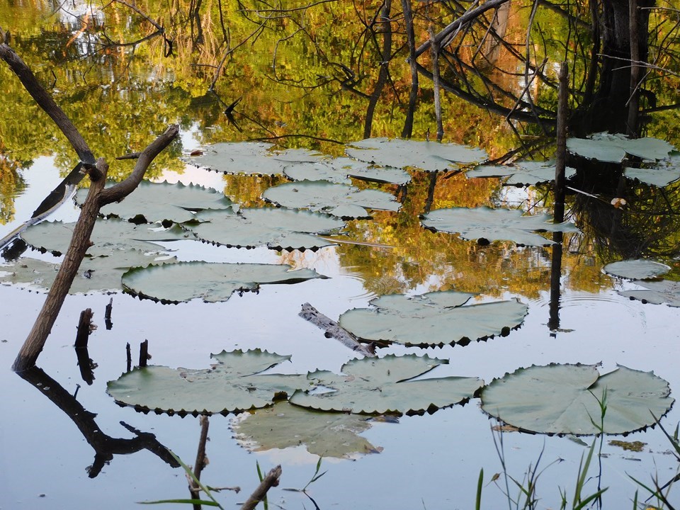  Parque Estadual de Itaúnas recebe exposição fotográfica