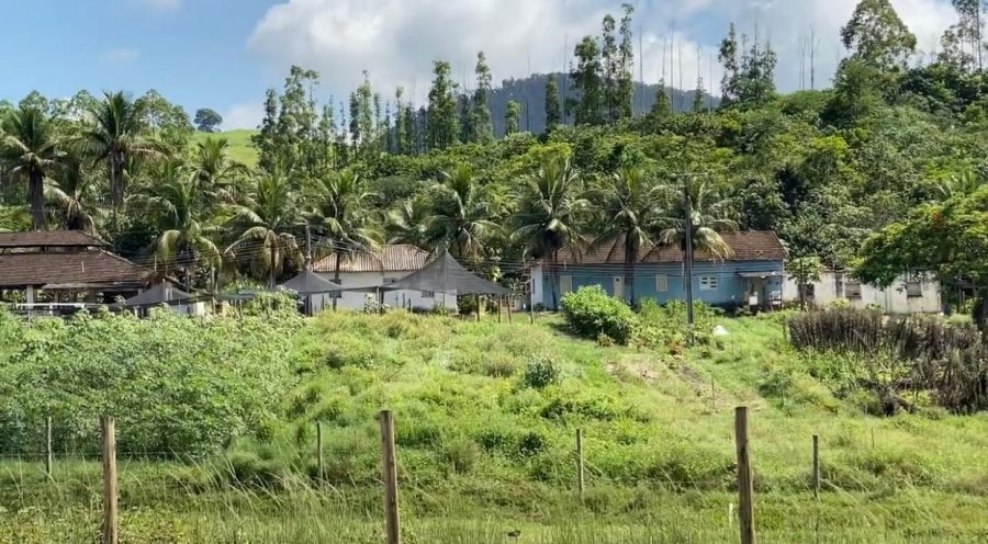  IDAF doa madeira de lei para a Fazenda da Santa Casa