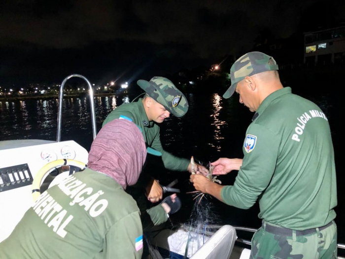  Operação conjunta apreende rede de pesca e resgata quatro tartarugas