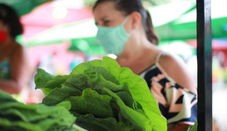  Em Cachoeiro: Feira da Agricultura Familiar da Ilha da Luz funcionará em novo endereço