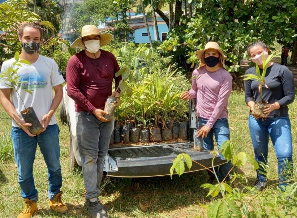  Projeto em Anchieta produz e distribui 2 mil mudas de árvores nativas