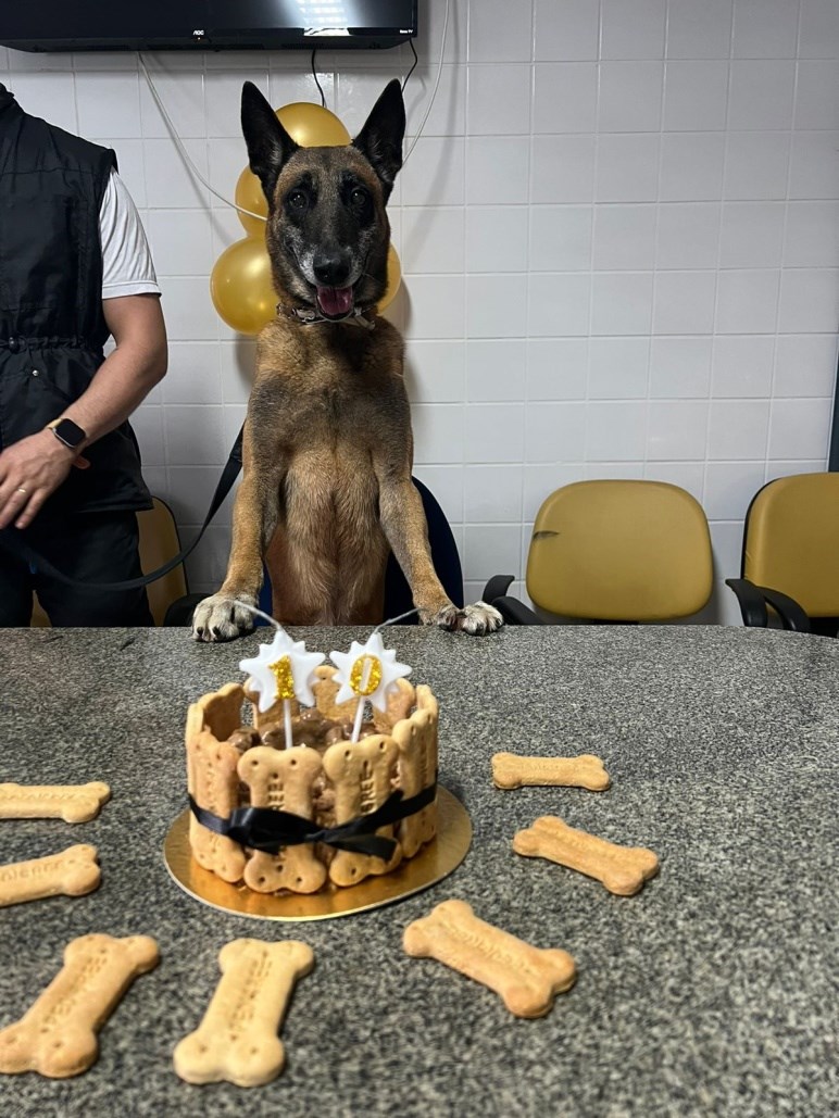  Cão policial Eudis completa 10 anos de serviço