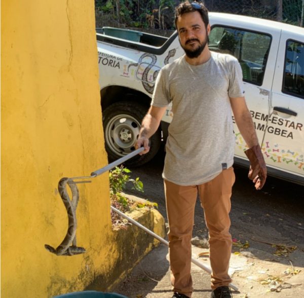  Em Vitória: Secretaria de Meio Ambiente resgata jararaca, gambá e papagaio