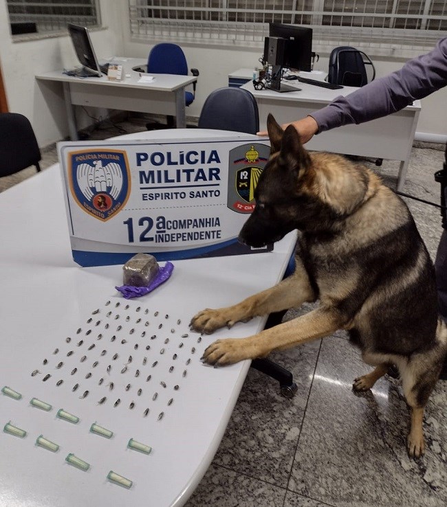  Militares da 12ª Cia Ind recuperam bicicleta furtada e apreendem drogas em Vitória