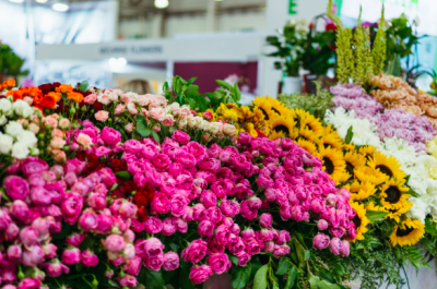  CORPUS CHRISTI DE CASTELO: “FEIRA DO AGROTURISMO, ARTESANATO E FLORES” SERÁ ATRAÇÃO