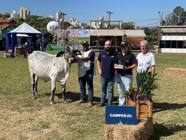  Produtores de Mimoso do Sul acumulam prêmios nacionais de bovinos leiteiros