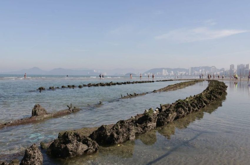  Destroços de navio misterioso aparecem em praia após recuo da maré em Santos