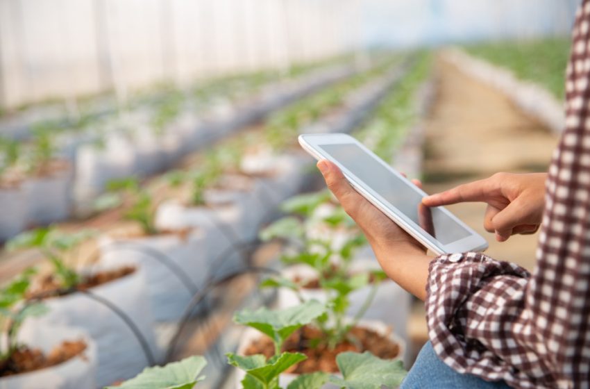  Reflexos positivos da tecnologia no agro serão debatidos em Vargem Alta