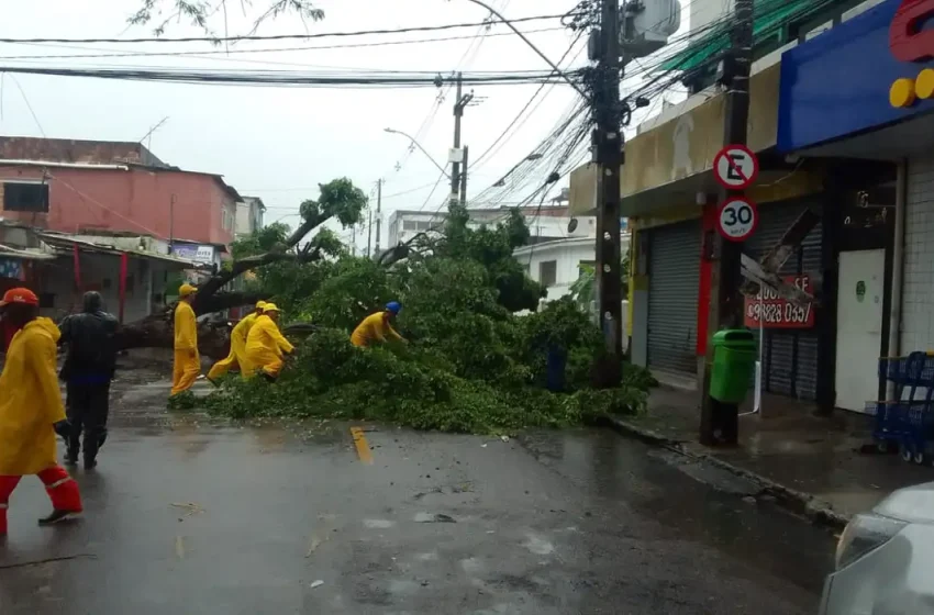  Nordeste terá chuvas volumosas de amanhã até sexta-feira, alerta Inmet