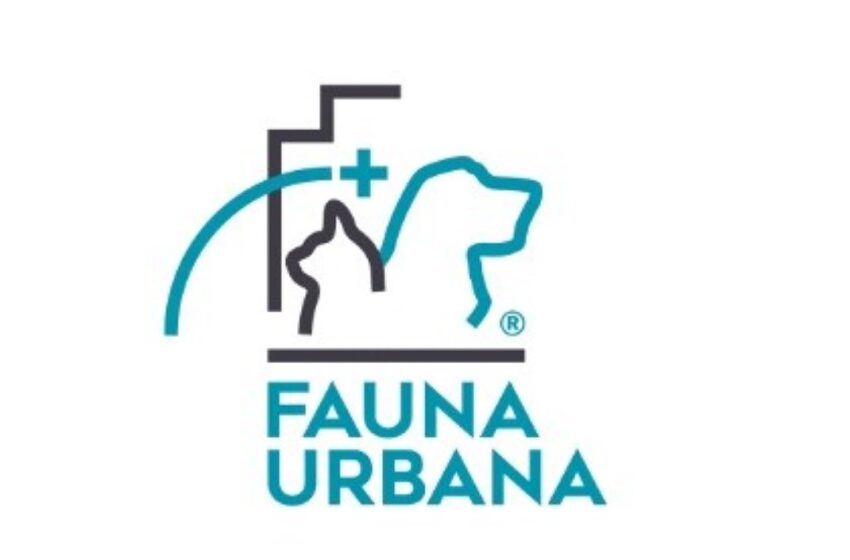  Vaga de Emprego na Fauna Urbana em Cachoeiro