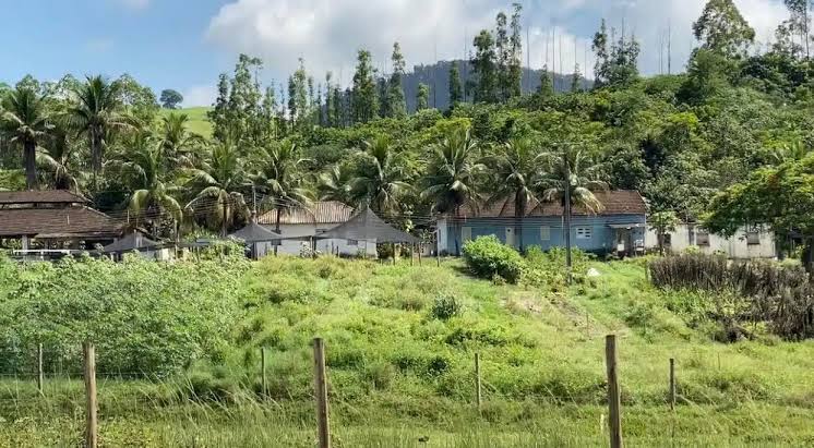  Fazenda da Santa Casa inicia colheita de até 25 toneladas de alimentos